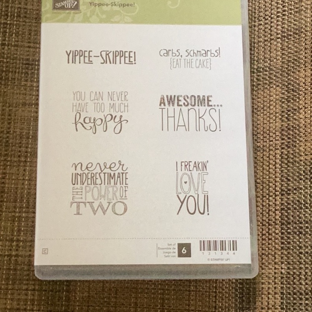 NEW STAMPIN UP! YIPPEE SKIPPEE